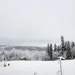 Niedzwiedzia *