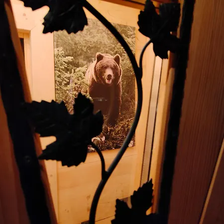 Niedzwiedzia Nyaraló