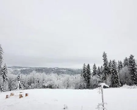Niedzwiedzia *